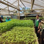 Potret Mustahik Produktif